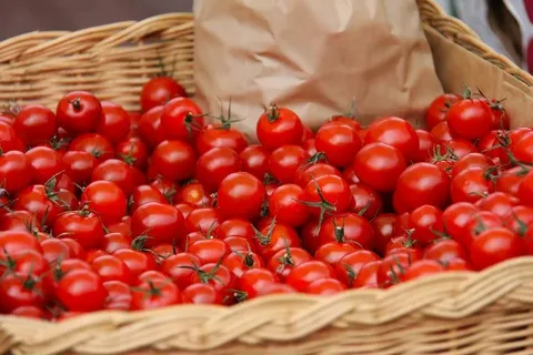 تصویر 2 از خرید و فروش رب گوجه فرنگی فله با شرایط فوق العاده